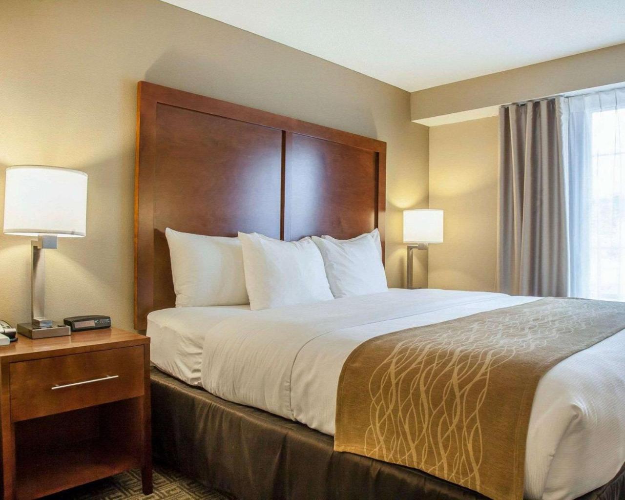 Comfort Inn & Suites Sturbridge-Brimfield Eksteriør billede