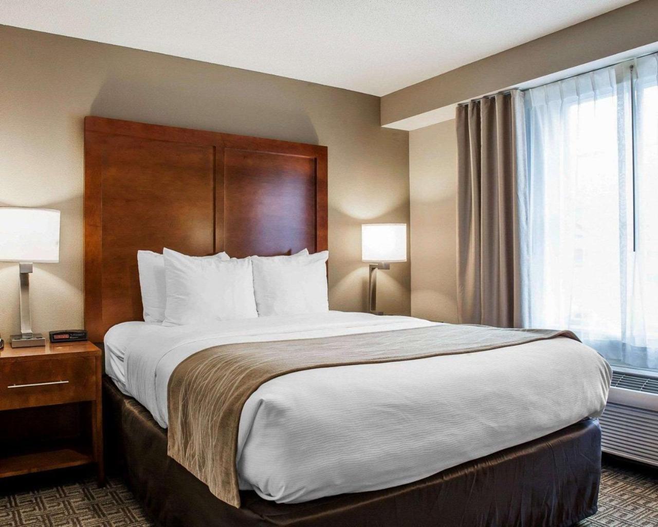 Comfort Inn & Suites Sturbridge-Brimfield Eksteriør billede